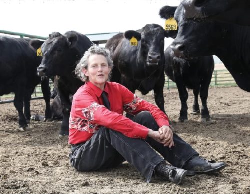 Temple Grandin